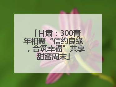 甘肃：300青年相聚“信约良缘，合筑幸福”共享甜蜜周末